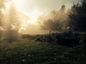 Catherine Roach_2014_Fall1