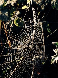 Catherine Roach_2014_Fall2