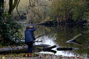 Sis Woodside_2014_Fall2_Juliet