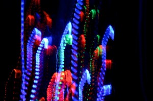 2014_1211114_HolidayLights_SuzyTitcomb01_DSC_1804