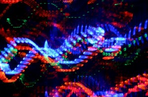 2014_1211114_HolidayLights_SuzyTitcomb04_DSC_1794