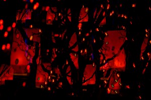 2014_121114_MaryTurner02_DSC_8716_and_8805_-_2_layers_in_diffence_mode