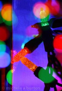 2014_121114_MicheleBurton_Holiday Lights 2014