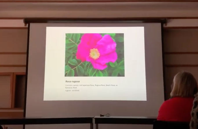 01/07/19 Hort Short: Latin For Gardeners - Texture, Size, Direction, Fragrance & Taste