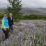 Sis and Laurie in the lupine meadow
