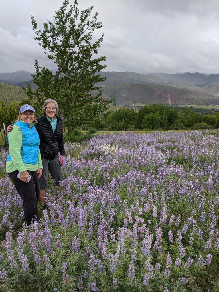 Sis and Laurie in the lupine meadow