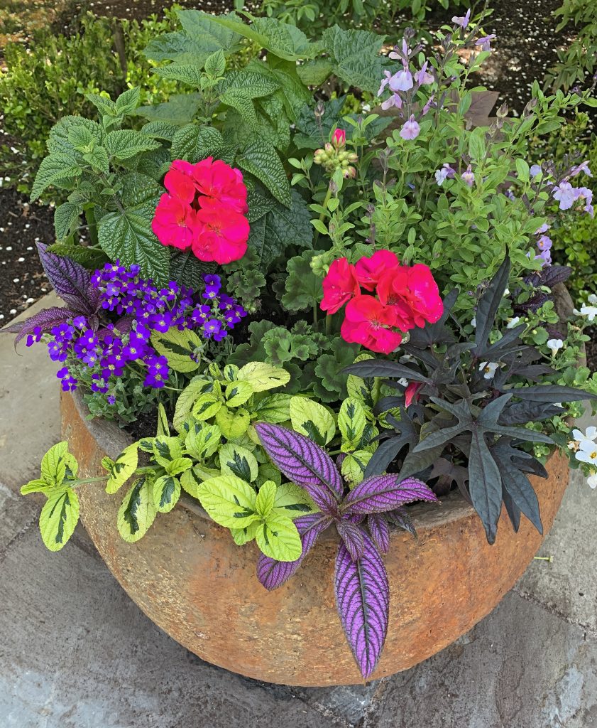 PATIO PLANTER