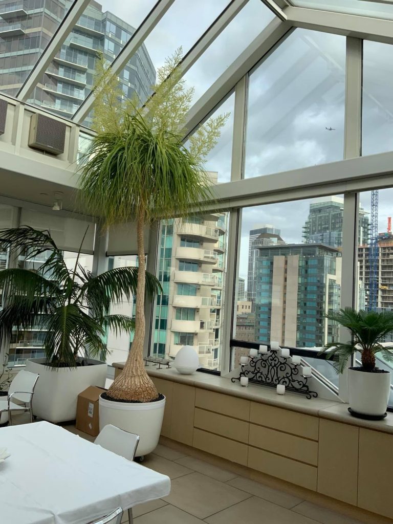 2020-05-26_5ecc6b4cbfce6_NancyBainEntry04