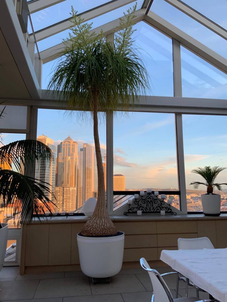 2020-05-26_5ecc6b4cbfd74_NancyBainEntry03