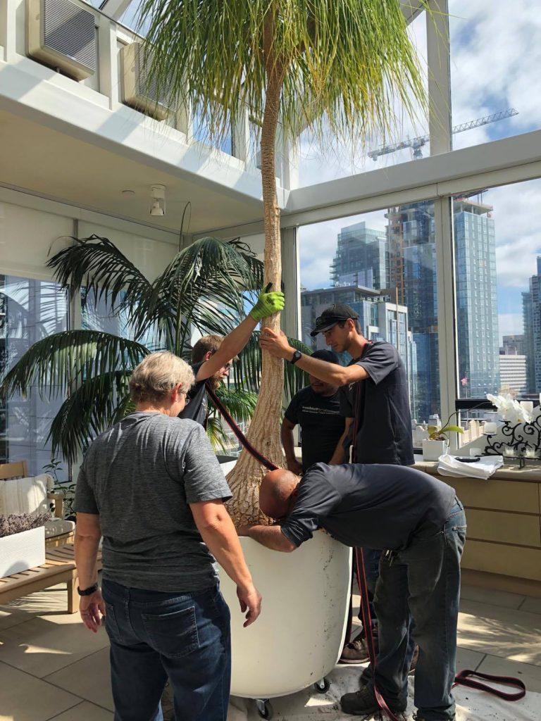 2020-05-26_5ecc6b4cbfdee_NancyBainEntry02