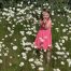 Field of daisies