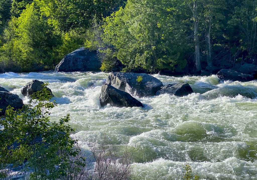 Rushing Icicle Creek