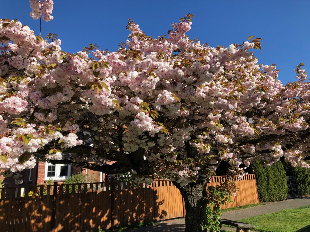 Conservaion of the soul