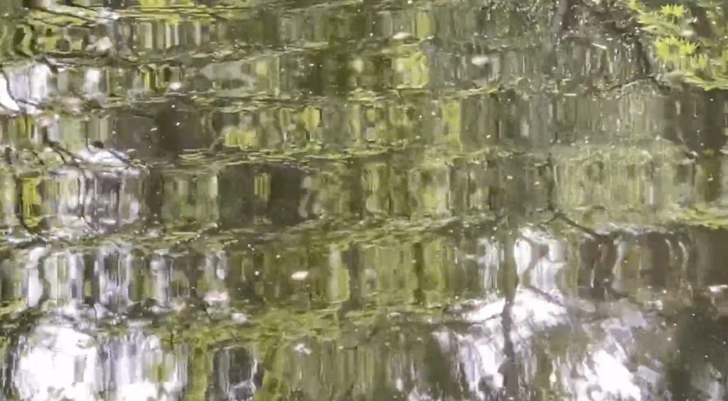 VIDEO - Ribbons of Water