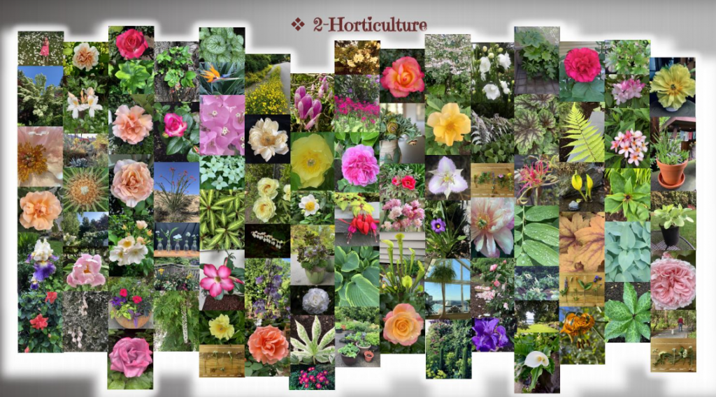 2020 VISIONS AMIDST THE VIRUS