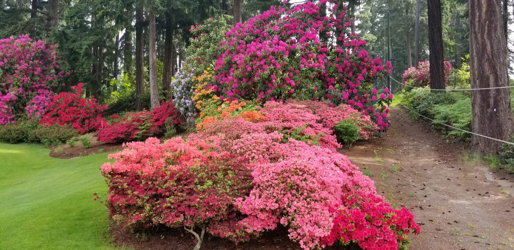 Explosion on the Course