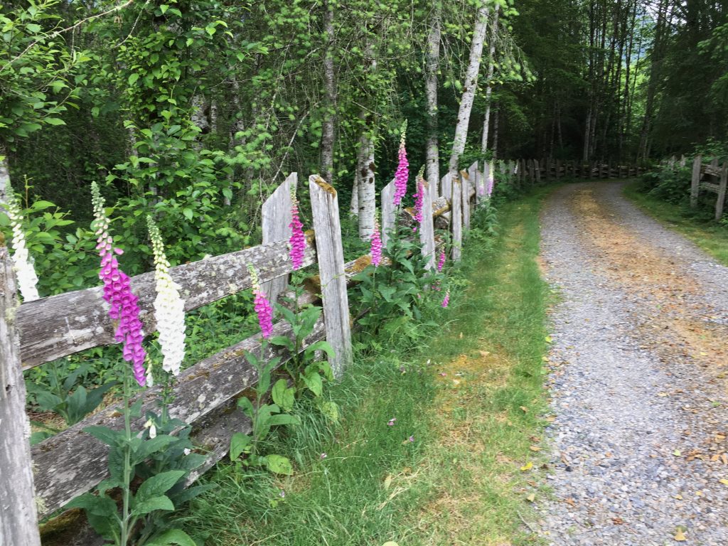 Take Me Home, Country Road