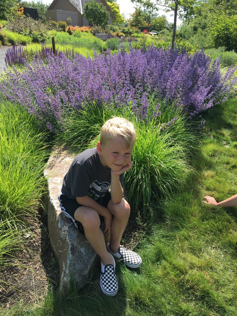 Thinking about the Lavender