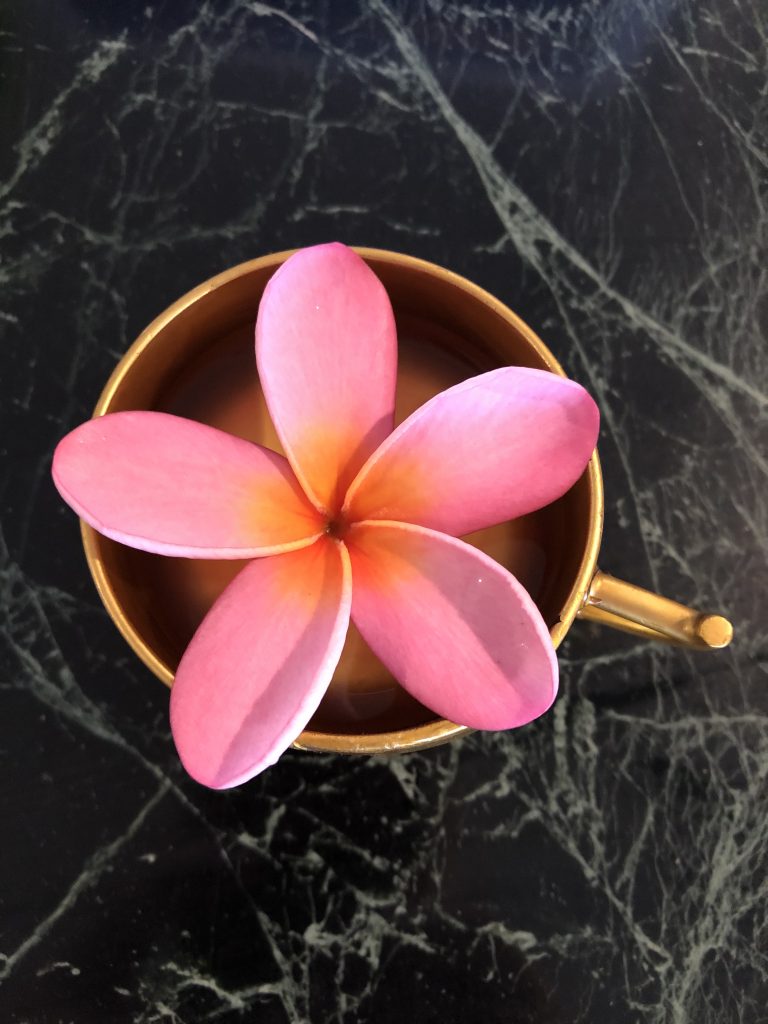 Single Frangipani flower in a Lacquer Cup