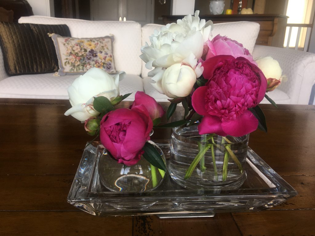 Peonies and ants solution
