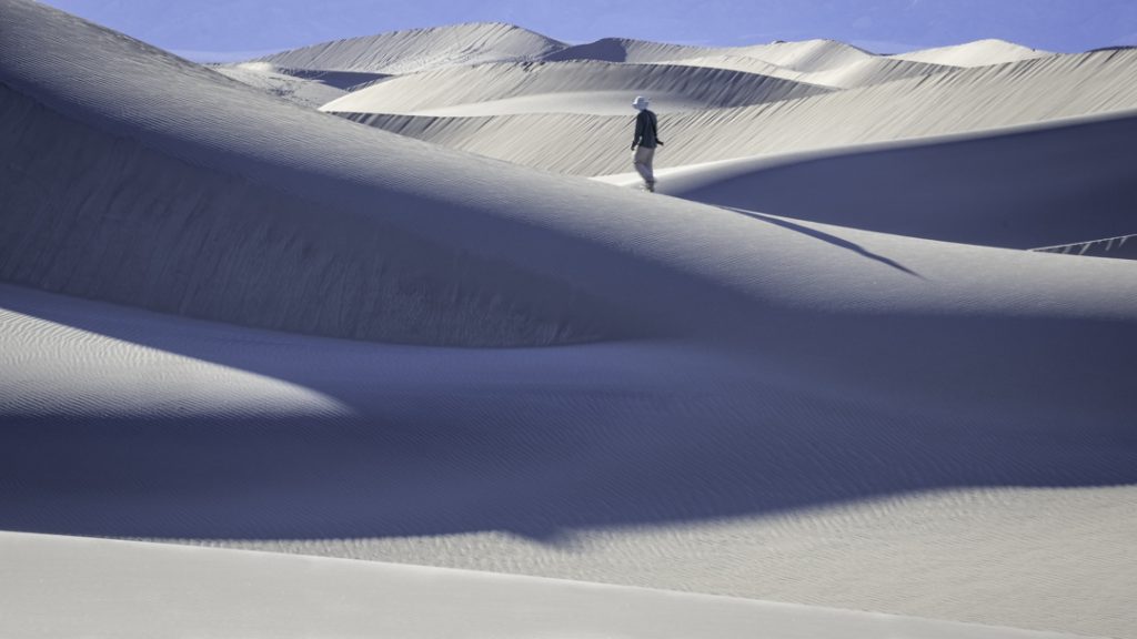 Alone on Planet Dune