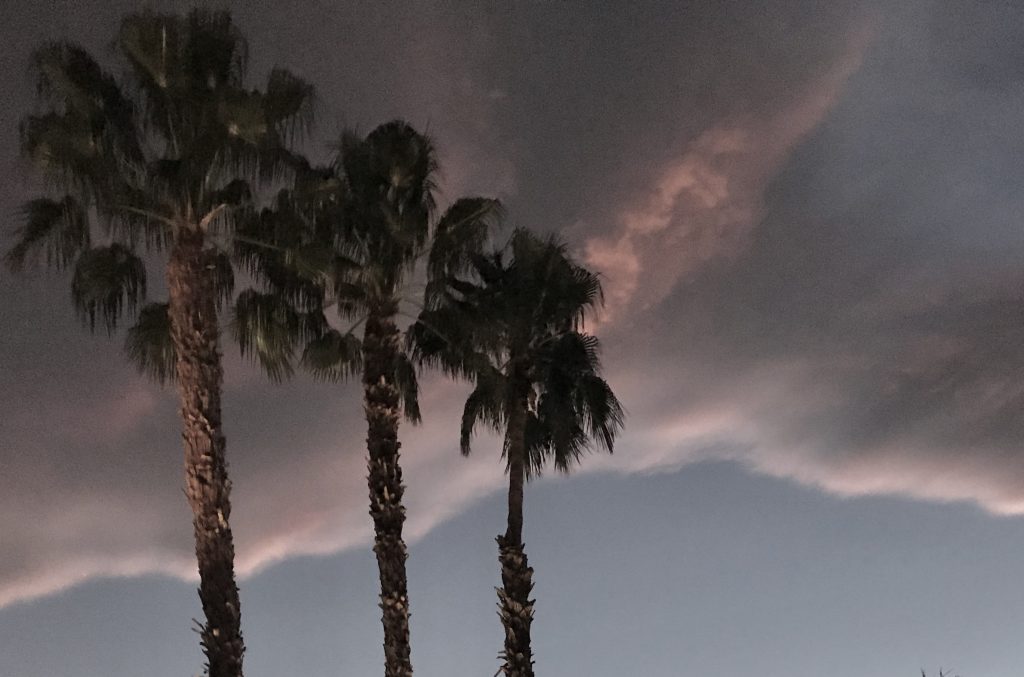 Creative Photography