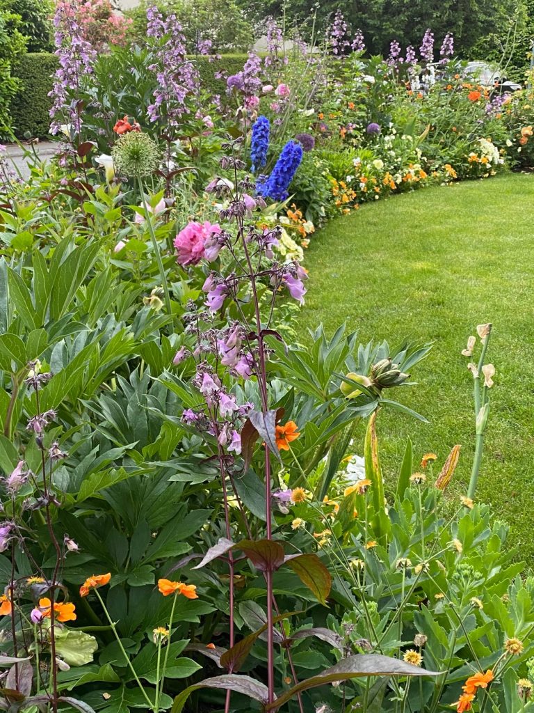 Walk in neighborhood