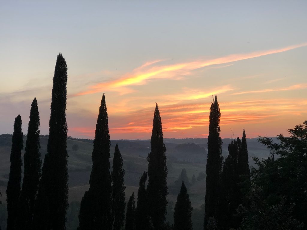 Tuscan sunset with Italian Cypress