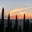 Tuscan sunset with Italian Cypress