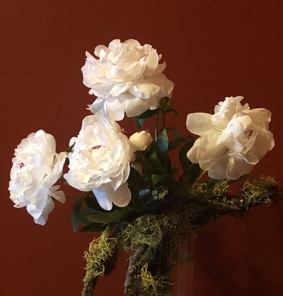 West juxtaposed with East; my habitat on both sides of the Cascades