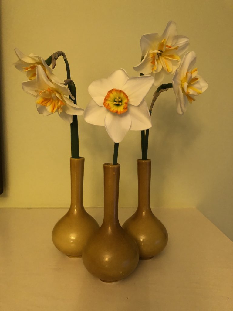 A trio of daffodils