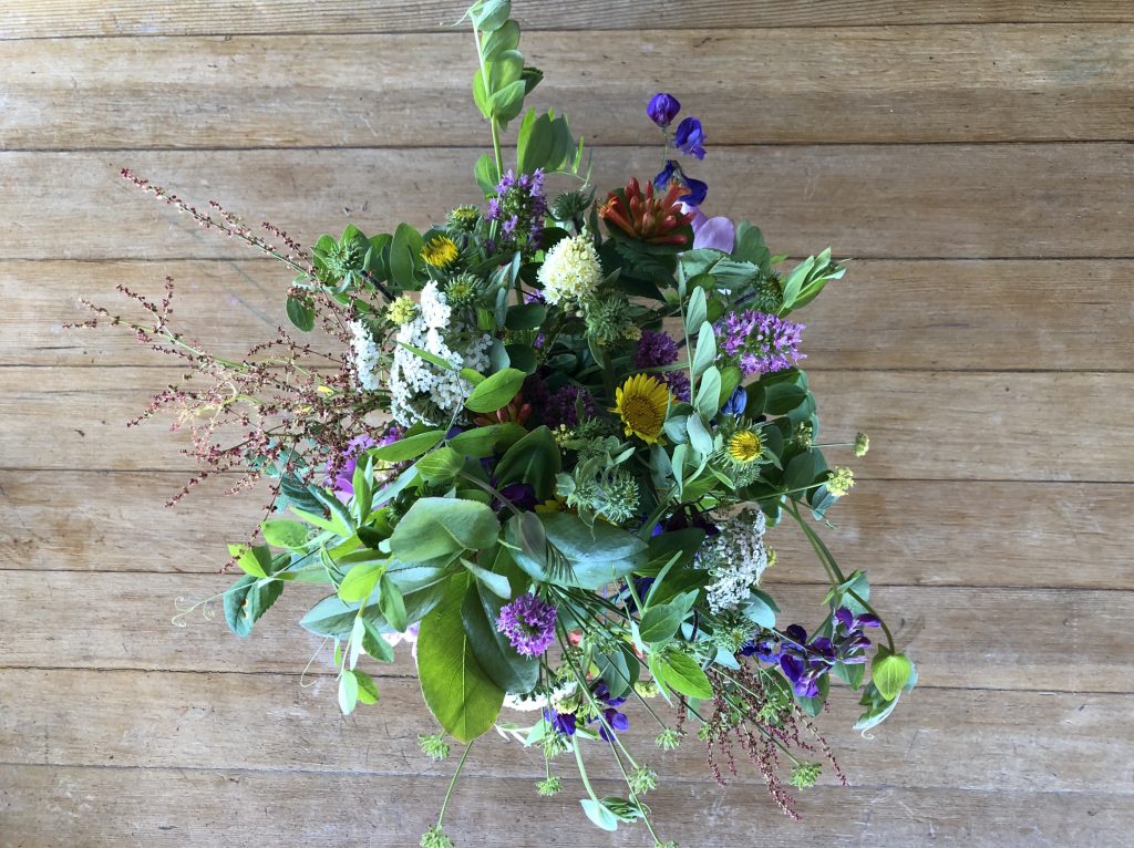 Wildflowers from the San Juan islands