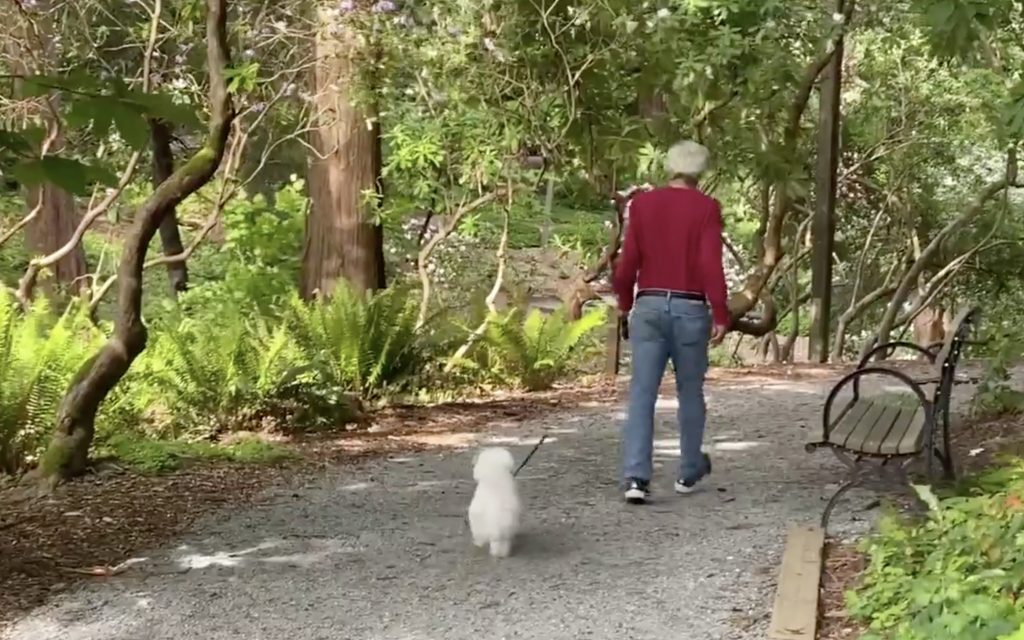 Video - Azalea Way with my Boys!