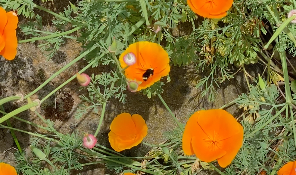 VIDEO - This little guy hit the jackpot