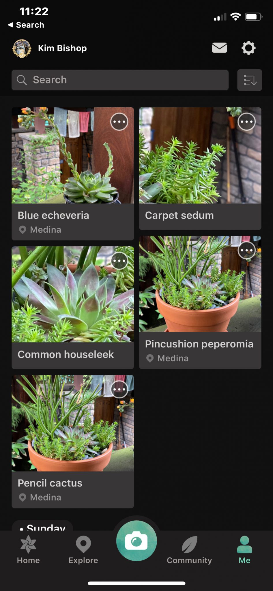 UsedPictureThisToIDbyKimBishopIMG_0908