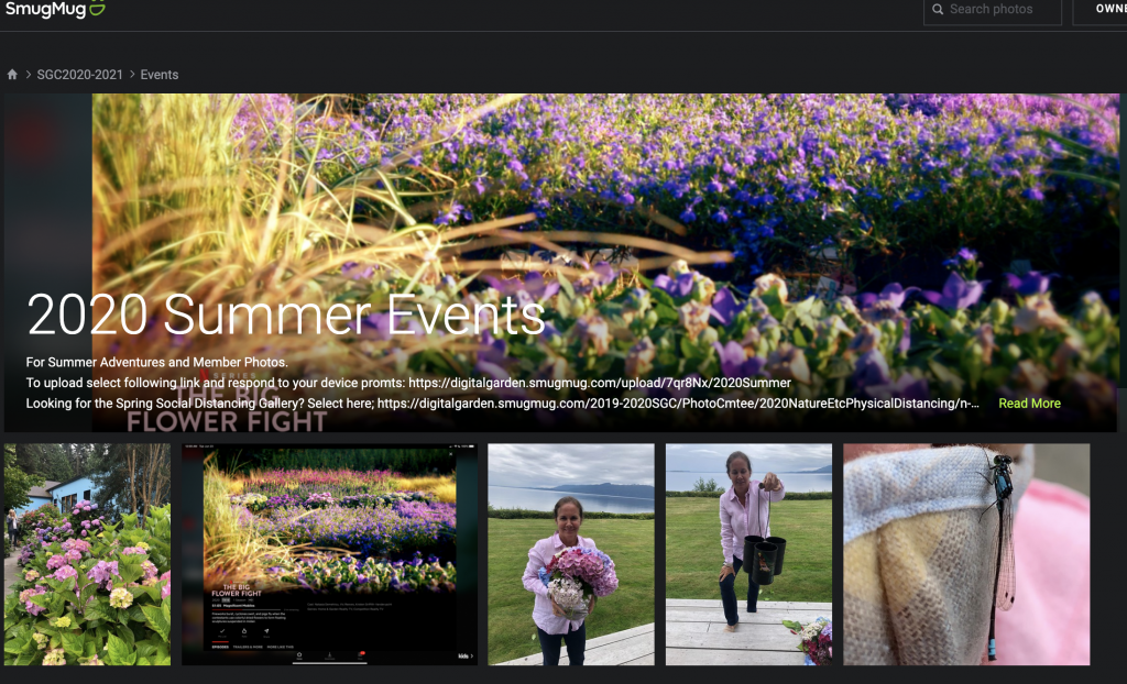 Smugmug Photo Description using FREE Guest Accounts