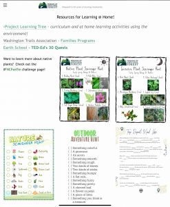 FriendsofNorthCreekForestIIMG_2700