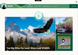 NationalWildlifeFederation