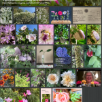 Screen Shot 2020-10-31 at 10.31.27 PM