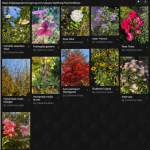 Screen Shot 2020-10-31 at 10.34.07 PM