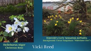 Hort Share, 1-4-21 final_Page_6