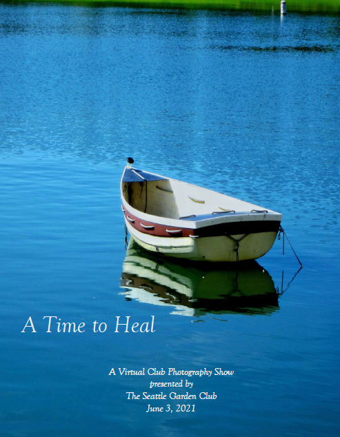 2021ATimeToHealPhotoShowThumb