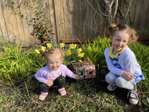 2021OYDSuzyTitcombFairyHouse