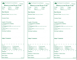 Screen Shot 2021-05-01 at 8.53.52 PM