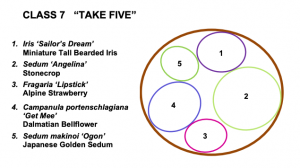 Screen Shot 2021-05-10 at 7.46.32 PM