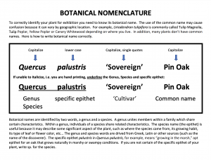 Screen Shot 2021-05-10 at 7.48.27 PM