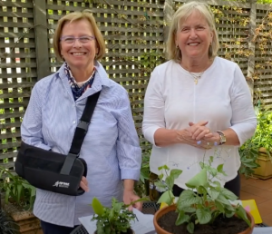 Screen Shot 2021-05-10 at 8.34.54 PM