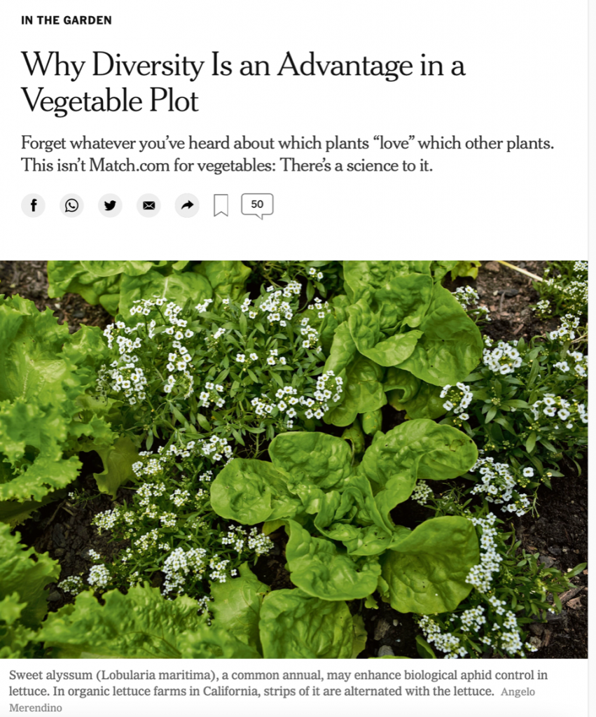 NYT’s Article: “Why Diversity Is an Advantage in a Vegetable Plot” Recommended by Suzy Titcomb