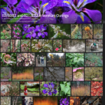 Screen Shot 2022-02-27 at 2.21.04 PM