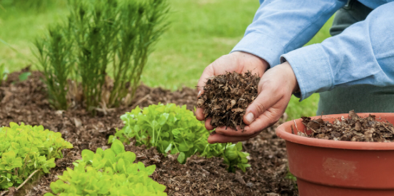 Why You Should Mulch